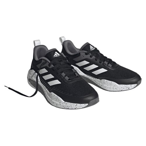 Buty treningowe męskie adidas Trainer V H06206