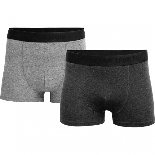 Bielizna męska 4F Boxer 2P NOSH4-BIM350 