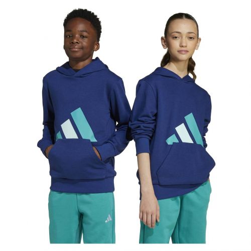 Bluza dla dzieci adidas Essentials Hoodie KB7312