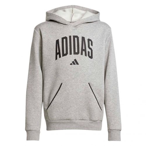 Bluza dla dzieci adidas Seasonals Essentials Collegiate Typography Hoodie JV7336