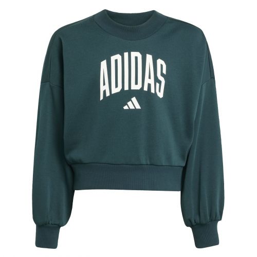 Bluza dla dziewcząt adidas Essentials Collegiate Typography JV7377
