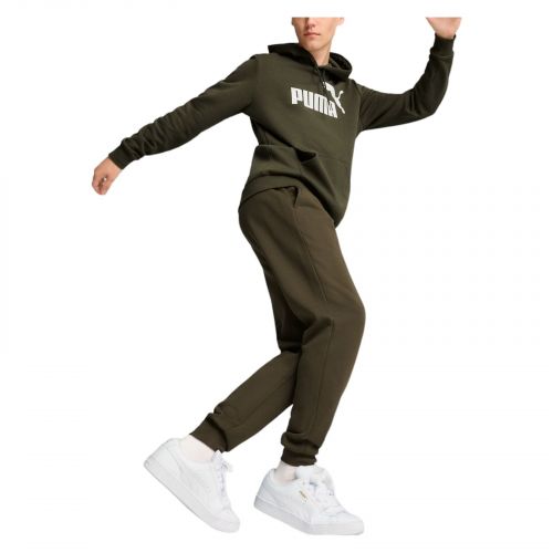Bluza męska Puma Essentials Big Logo Hood FL 586687