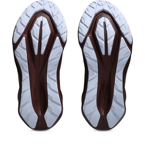 Buty do biegania damskie Asics Novablast 5 Nature Bathing 1012B911