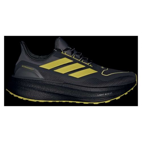 Buty do biegania męskie adidas Ultraboost 5 GTX JI3242