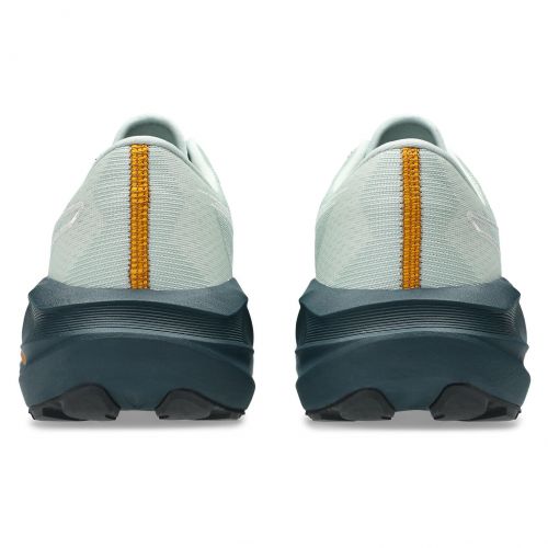 Buty do biegania męskie Asics Novablast 5 Nature Bathing 1011C138