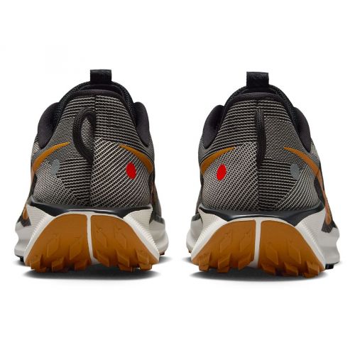 Buty do biegania w terenie męskie Nike Pegasus Trail 5 DV3864