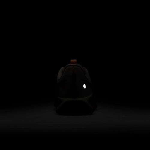 Buty do biegania w terenie męskie Nike Pegasus Trail 5 DV3864