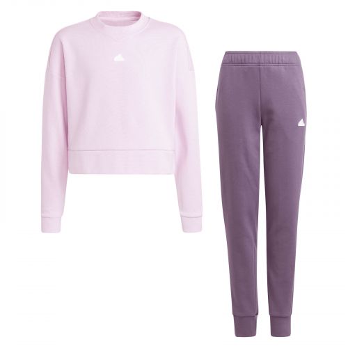 Dres dla dziewcząt adidas FL Logo IM0165