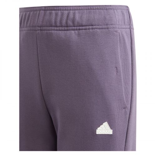 Dres dla dziewcząt adidas FL Logo IM0165