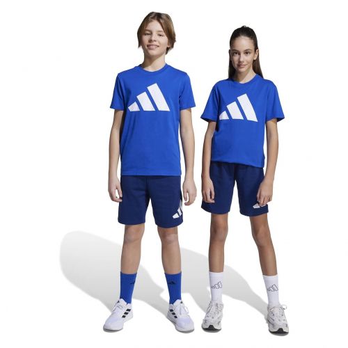 Komplet sportowy dla dzieci adidas Essentials JV9921