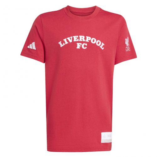 Koszulka piłkarska dla dzieci adidas Liverpool FC US Pack JW7878