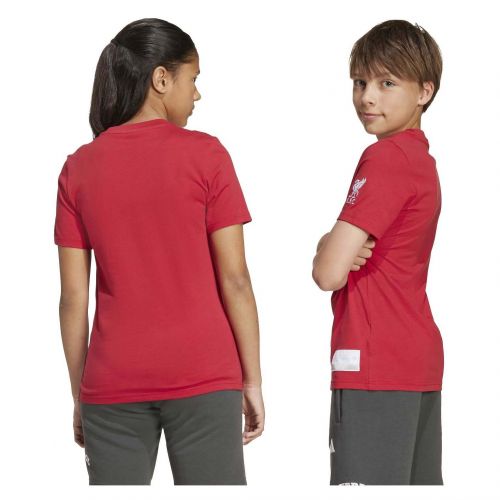 Koszulka piłkarska dla dzieci adidas Liverpool FC US Pack JW7878