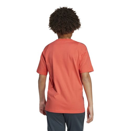 Koszulka piłkarska dziecięca adidas FC Bayern 2025/2026 Tiro24 Competition Sweat Tee Kids JN5616