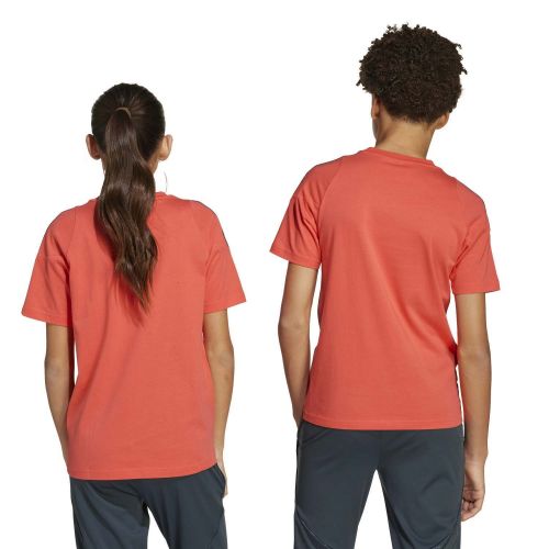 Koszulka piłkarska dziecięca adidas FC Bayern 2025/2026 Tiro24 Competition Sweat Tee Kids JN5616