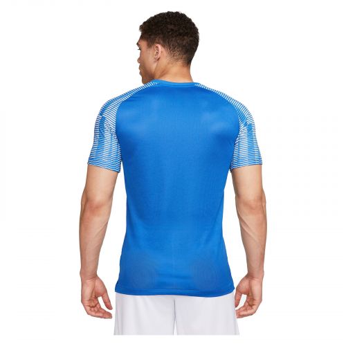 Koszulka piłkarska męska Nike Dri-Fit Academy DH8031