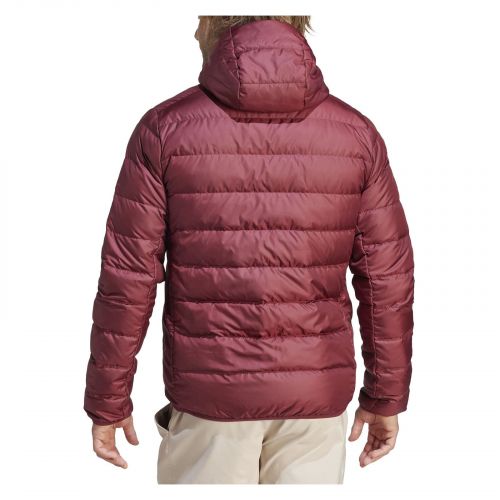 Kurtka puchowa męska adidas Terrex Multi Light Down Hooded IP6040