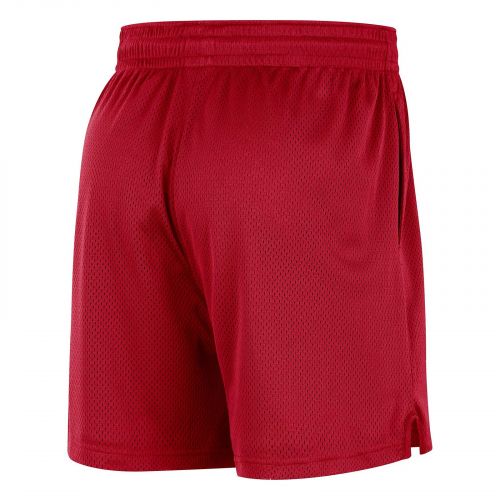 Spodenki do koszykówki męskie Nike Chicago Bulls FB3725