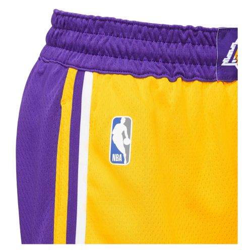Spodenki do koszykówki męskie Nike Los Angeles Lakers Icon Edition AJ5617