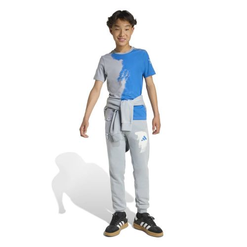 Spodnie trekkingowe męskie adidas Terrex Xploric Cargo Pants JM7424	