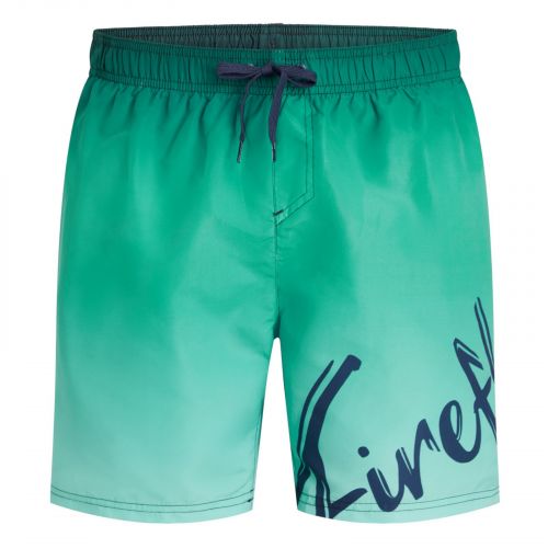 Szorty kąpielowe męskie Firefly Lario Typo Shaded 430706