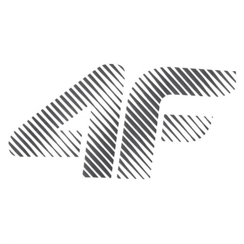 Koszulka męska 4F 4FWMM00TTSHM2257